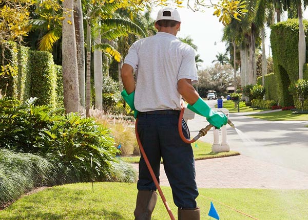 About Tifton GA Pest Control Pros